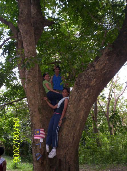 Image hosting by Photobucket