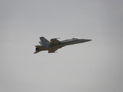 F-18Hornet.jpg