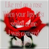 like red on a rose