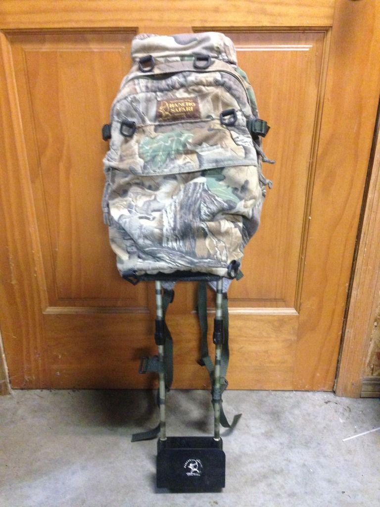 Cat quiver The Hunting Beast