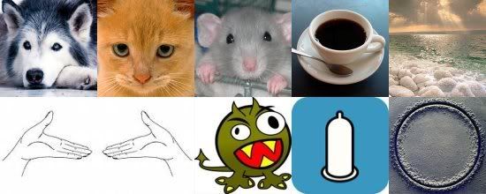 Testas5