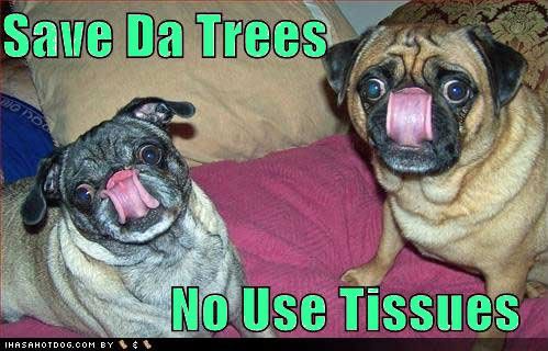 save the trees Pictures, Images and Photos