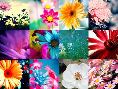 justin bieber icon collage. flower icon collage