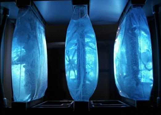 Bio-neural_gel_packs.jpg