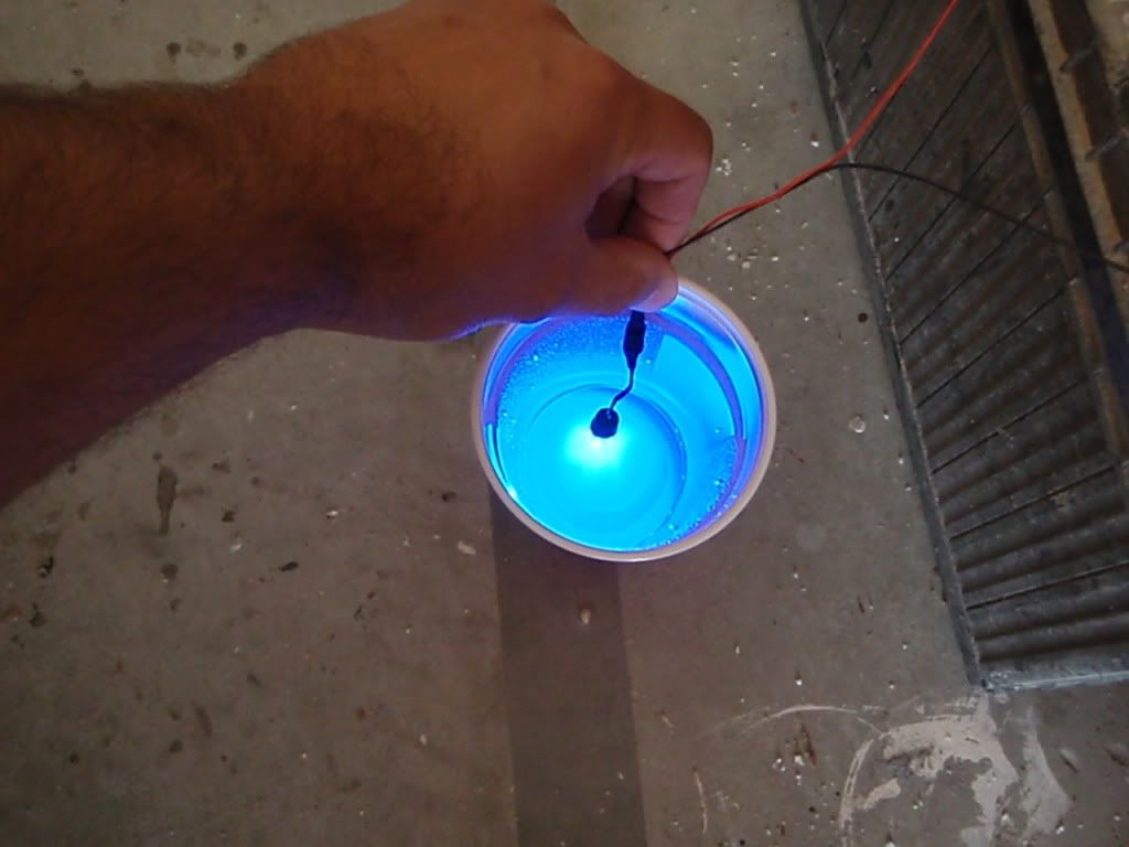 Best color light for a livewell Dedicated To The Smallest Of Skiffs