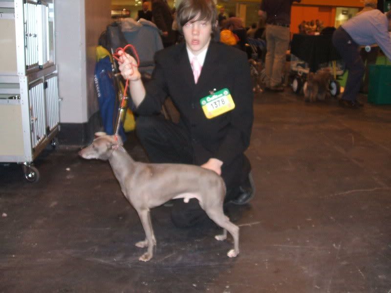 crufts2008010.jpg