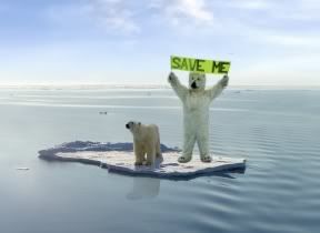 Arctique: les changements climatiques irréversibles