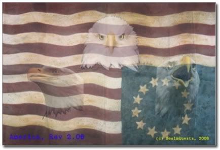 Constitutional Crisis flag and eagles