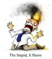 The Stupid, It Burns