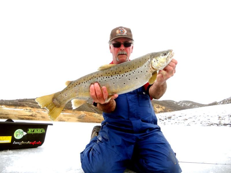 [Image: hells_and_his_nice_27_brown_trout_1_2014...ca5eaa.jpg]