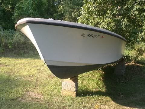 pic1.jpg