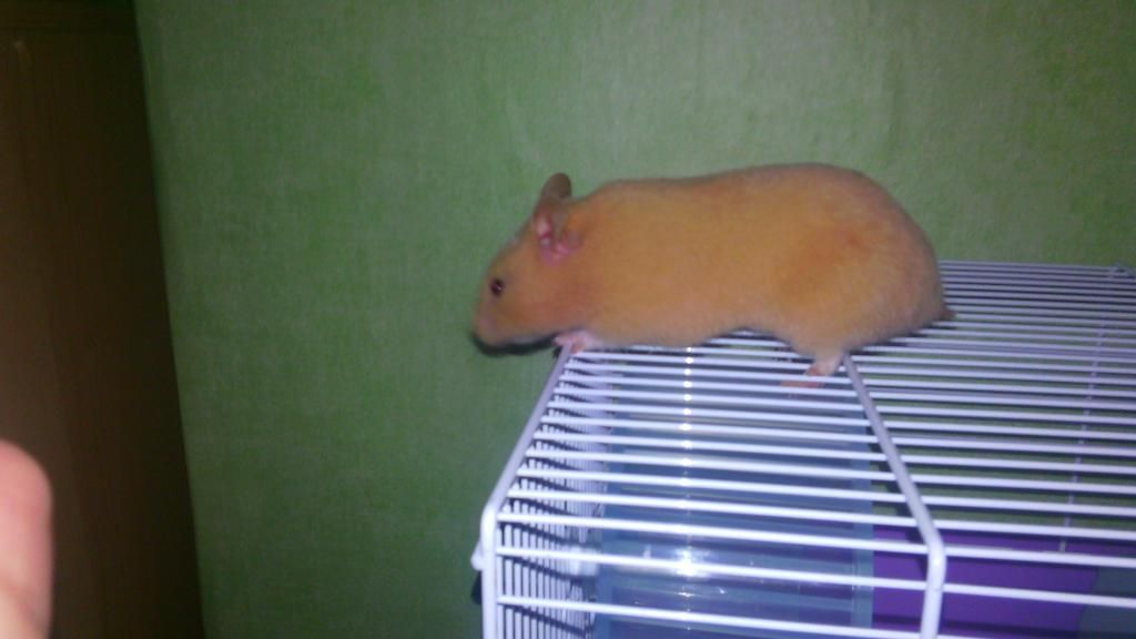 Imagem