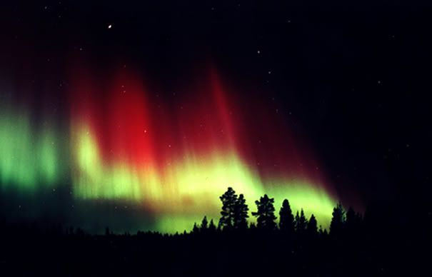Aurora Borealis Pictures, Images and Photos
