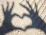 heart shadow Pictures, Images and Photos