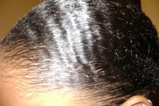 DSC02872-1.jpg