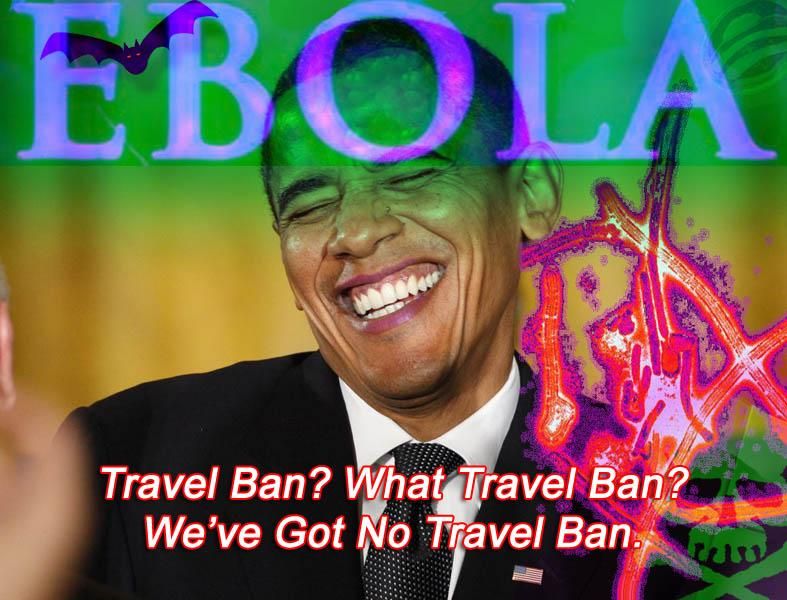 What Travel Ban