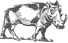 Scan_Pic0111.jpg warthog_clipart picture by sarahjmorriss