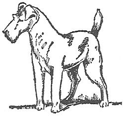 Scan_Pic0114.jpg dog_clipart picture by sarahjmorriss