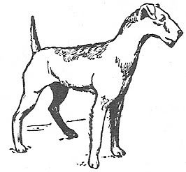 Scan_Pic0117.jpg dog_clipart picture by sarahjmorriss