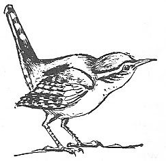 Scan_Pic0118.jpg bird_clipart picture by sarahjmorriss