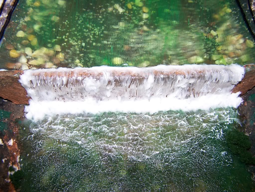 100_0593.jpg TOP VIEW image by GIIG21