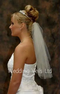 Cathedral Length Veil