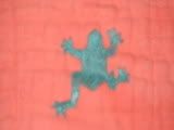 CLEARANCE Ribbit!  Frog embellished Premium Prefold - 2nd