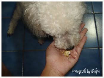 บลูเบอรี่พาย