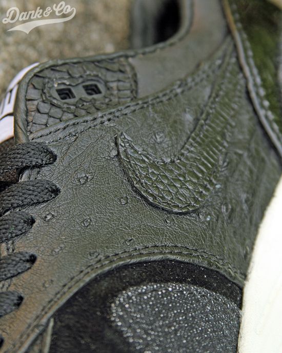  photo asdssfnsthath 6.jpg