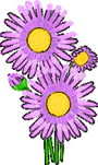 flower_003_t.gif