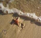 thbeach_with_starfish_on_sand.jpg