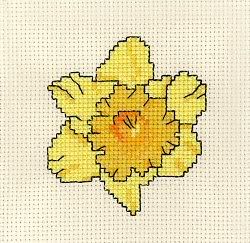 Daffodil