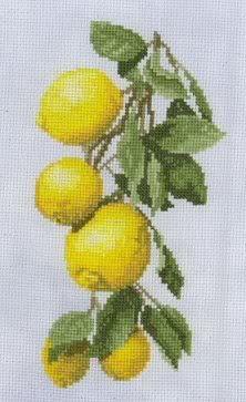 Jill Oxton Lemons