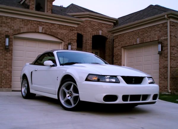 Cobra4.jpg