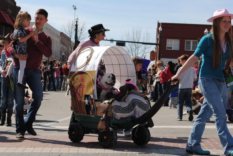 Barkus Float Barkus Float