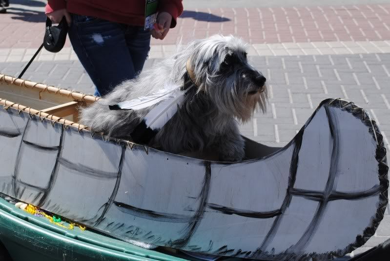 Barkus Float Barkus Float