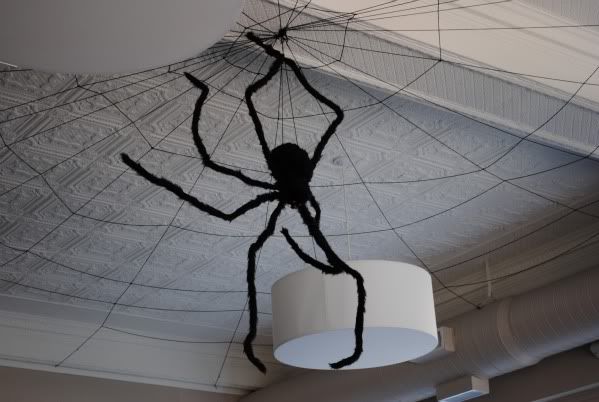 Spider at Square Burger Spider at Square Burger