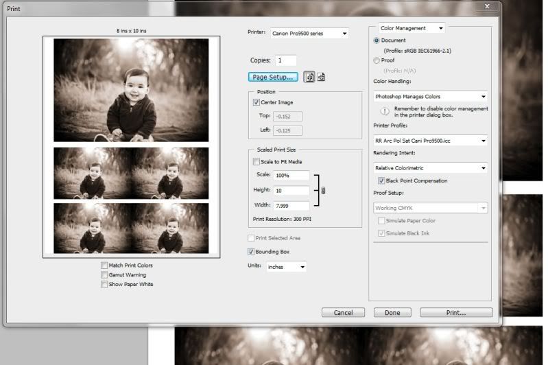 IMAGE: http://i50.photobucket.com/albums/f340/el-dee/print4.jpg