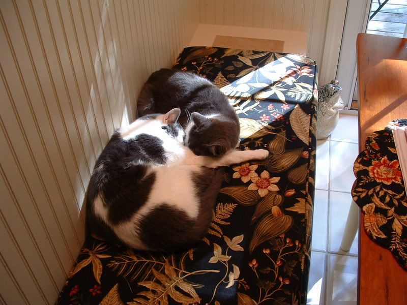 Photo Sharing and Video Hosting at Photobucket