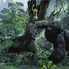 King Kong movie clip