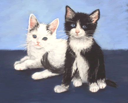 cute black and white cats and kittens. And white and lack. Two cute