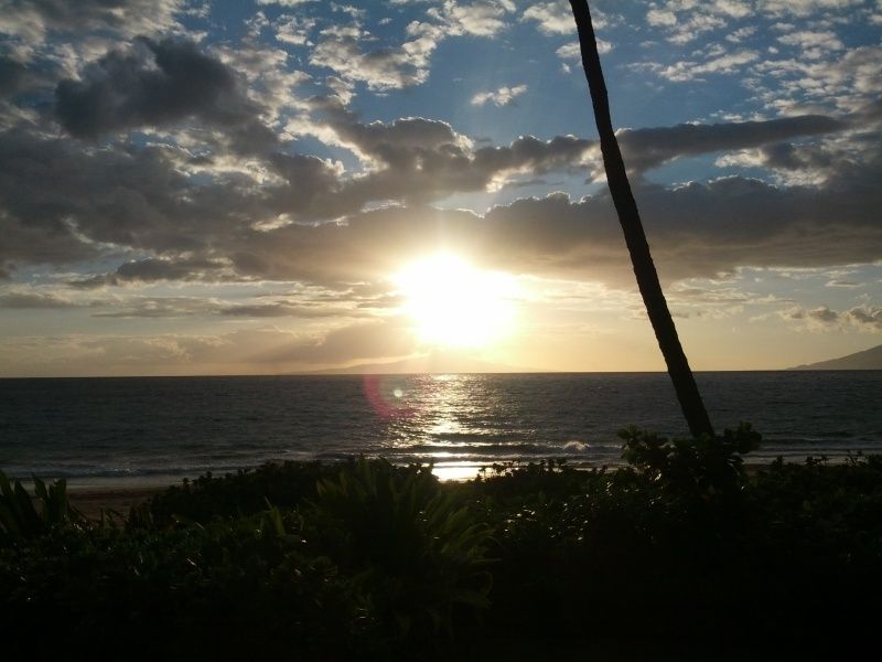 IMG_20120726_183655.jpg