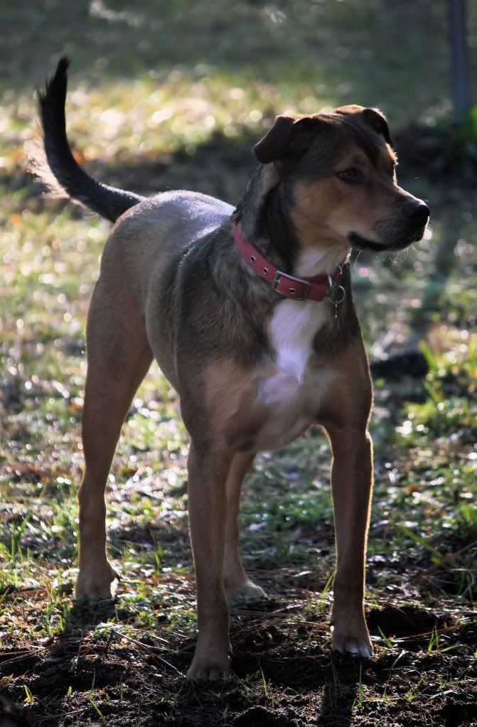 IMAGE: http://i50.photobucket.com/albums/f346/Joe_Pal/IMG_3986.jpg