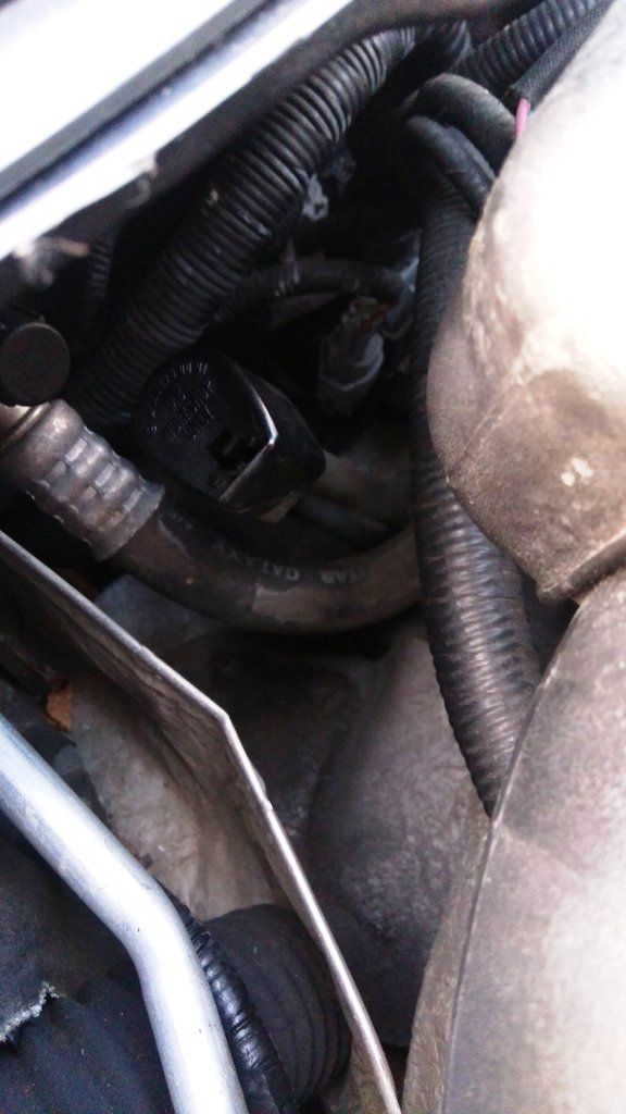 Gearbox Dipstick? Jaguar Forum