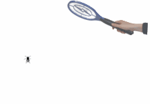 fly-swatter-anim217.gif