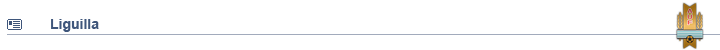 liguilla.png