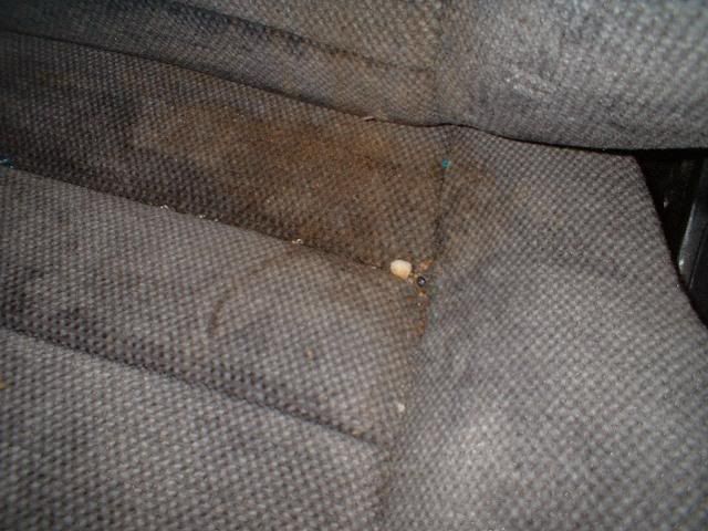DSCF0011.jpg