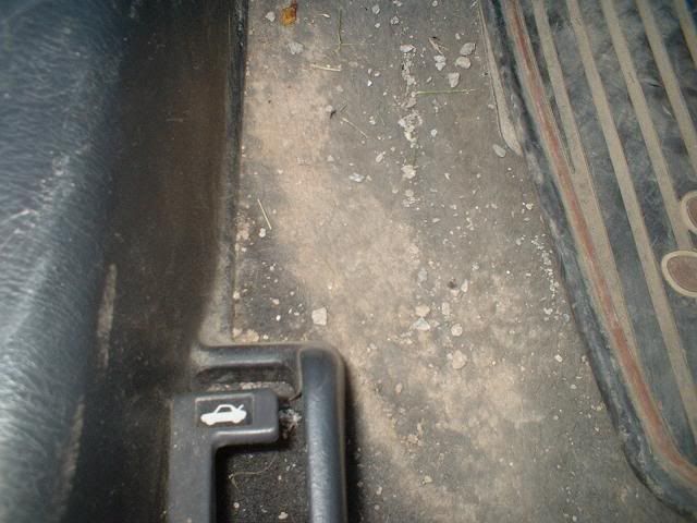 r3.jpg