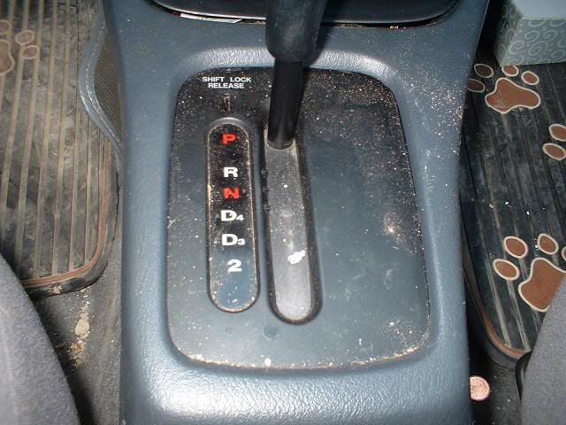 r5.jpg