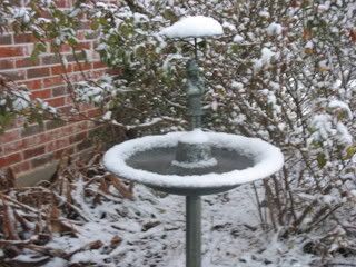 Frozen bird bath girl